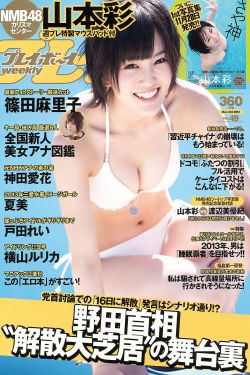 姐姐的朋友