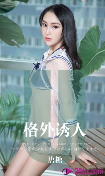 女管家意大利满天星